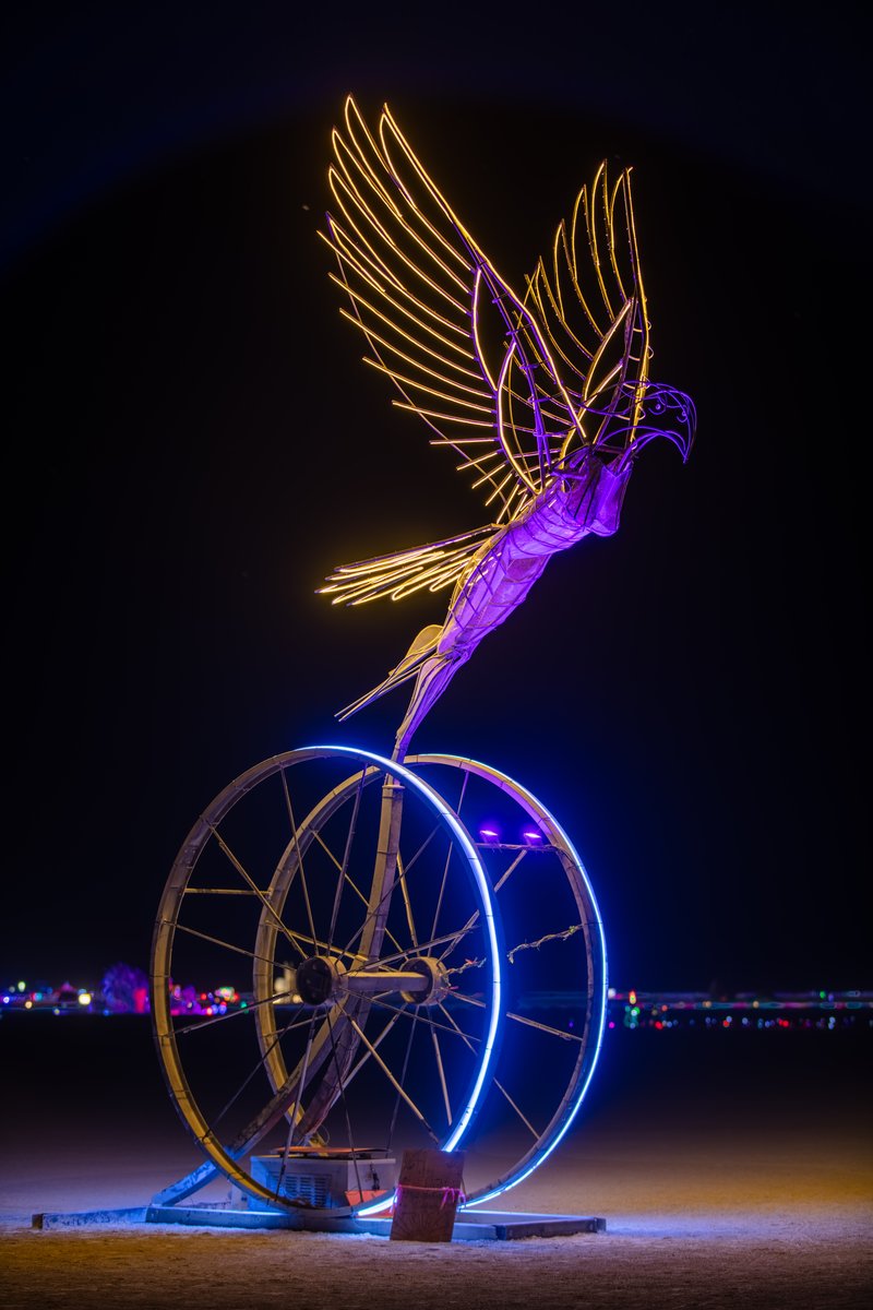Taking Flight