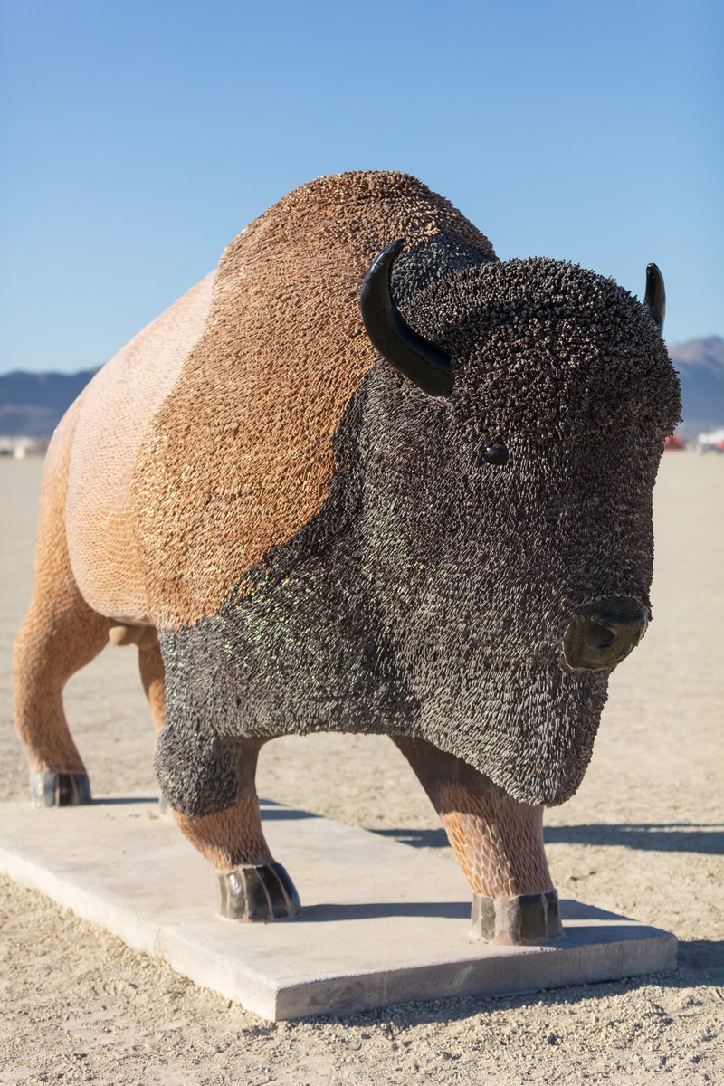 Tatanka