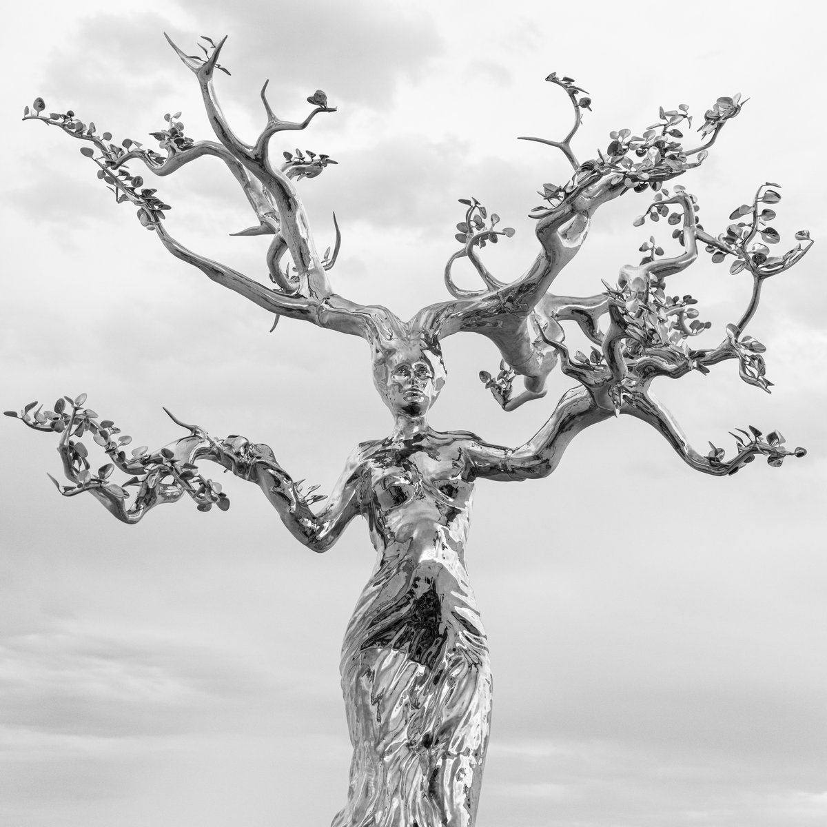 SACRED GROUNDS by Michael Benisty