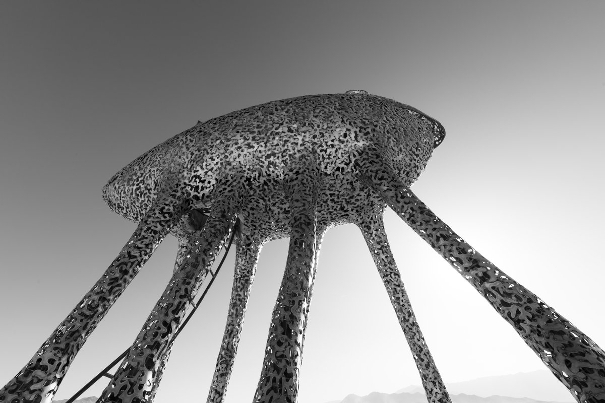 Corpus