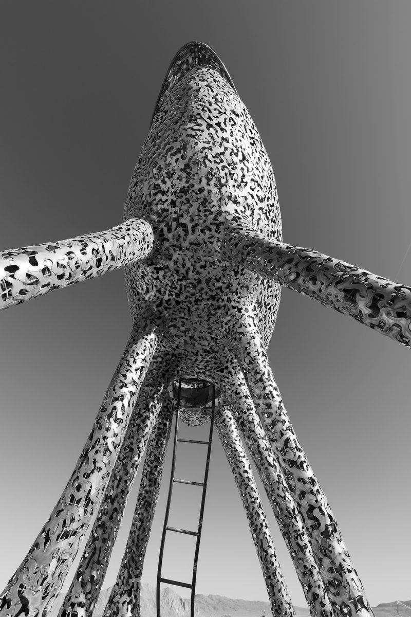 Corpus