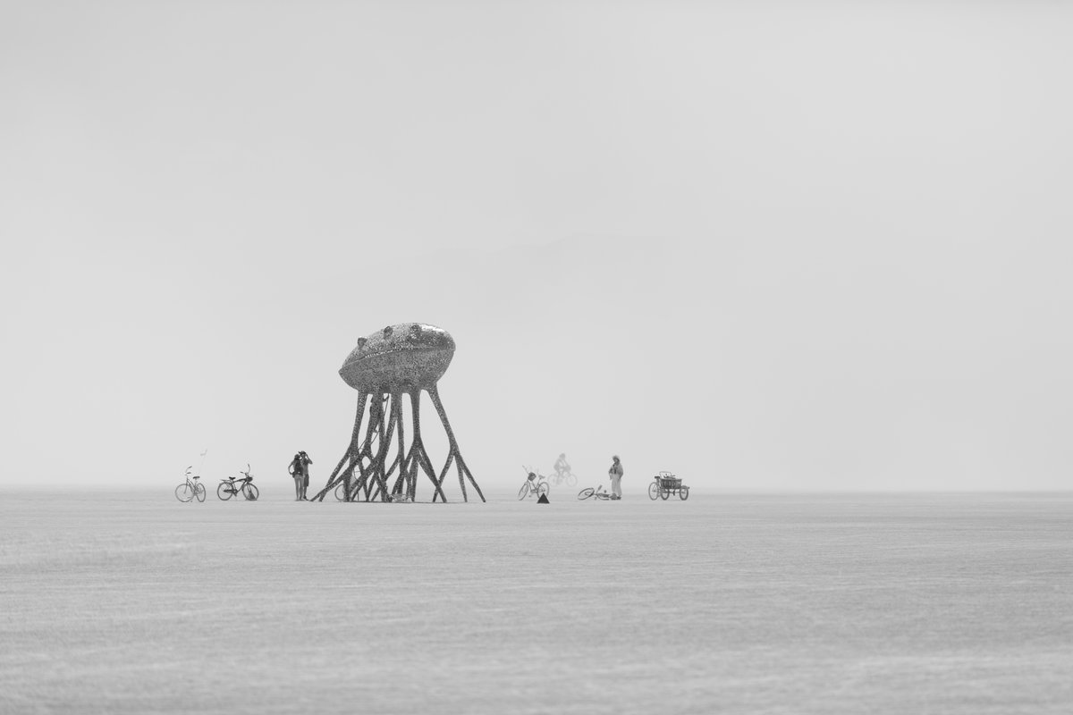 corpus