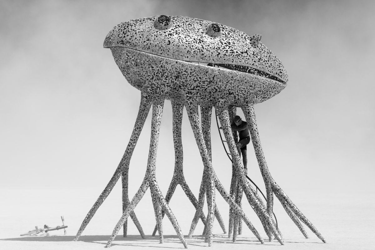 corpus
