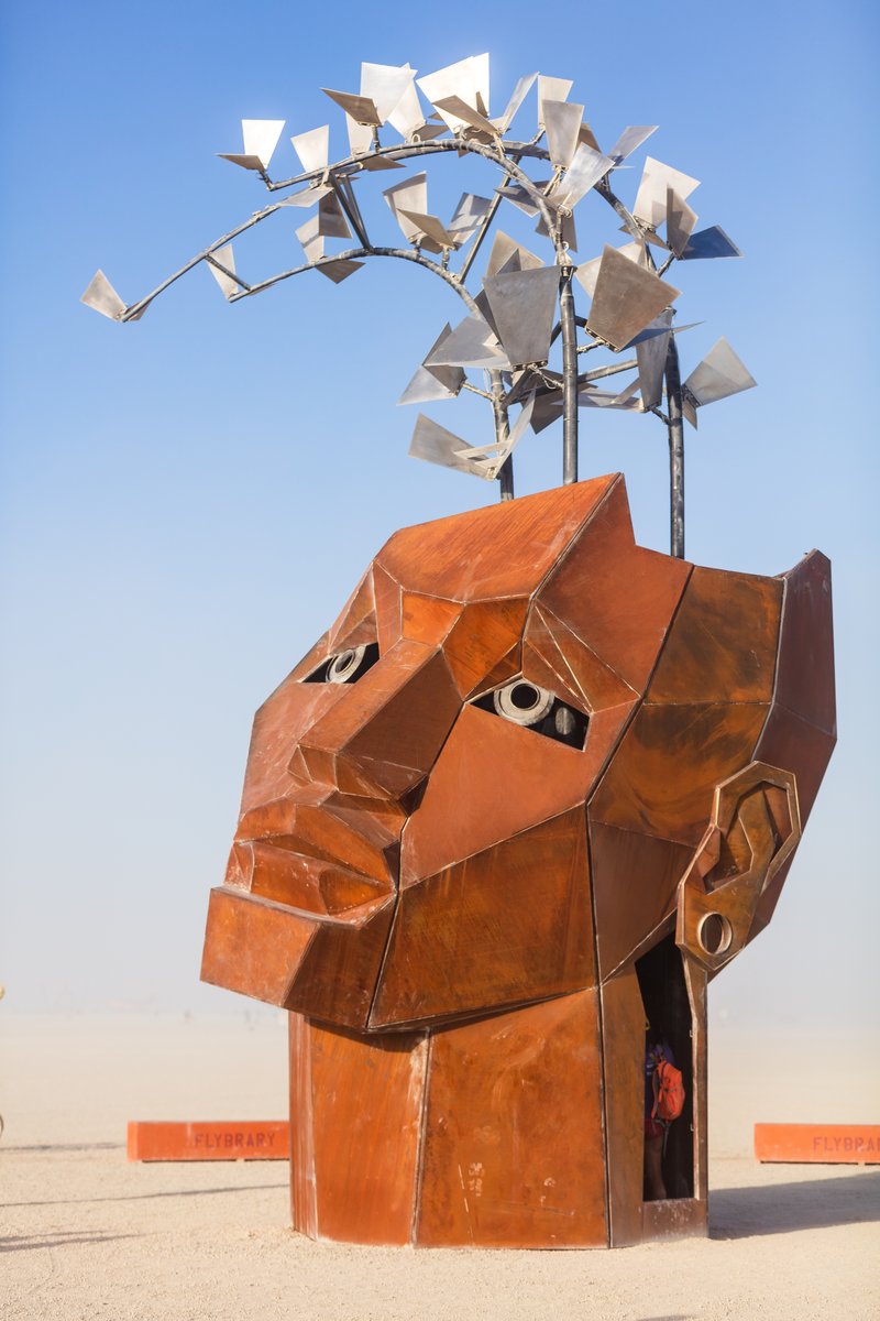The Flybrary