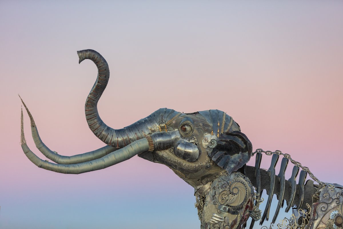 The Monumental Mammoth