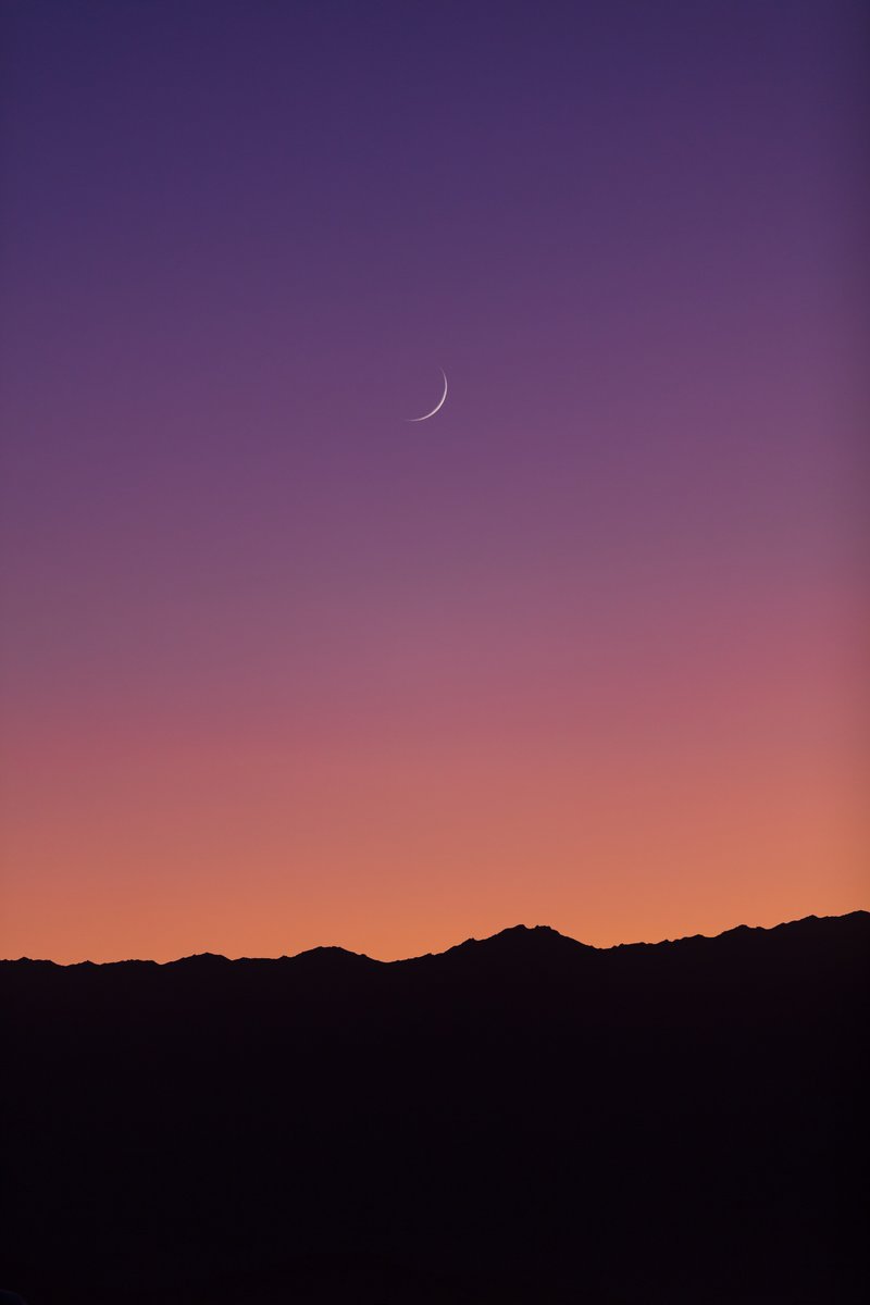 Moon (only real Moons this year?)