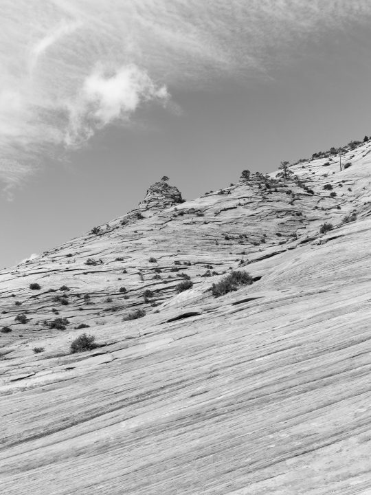 Zion Slope 02