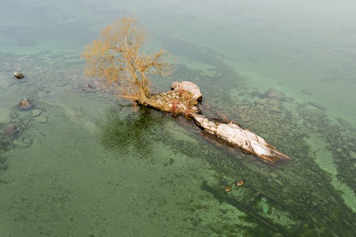 Small Island with One Tree and Sunken Boat