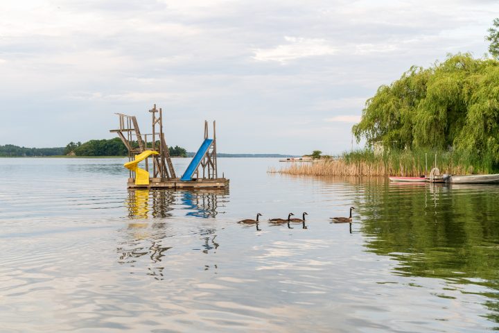 Slides and Geese