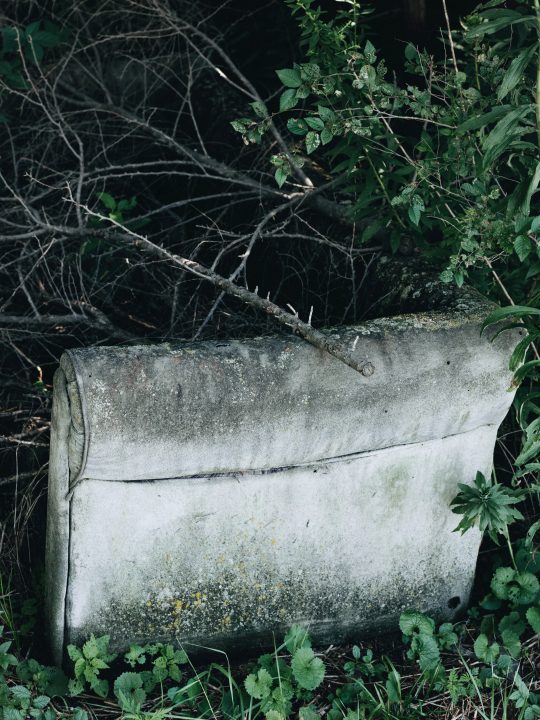 Nature Consuming a Couch