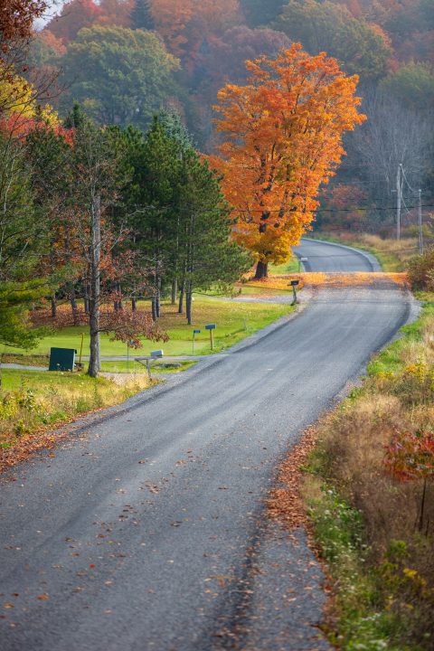 Fall Colour Around The Bend