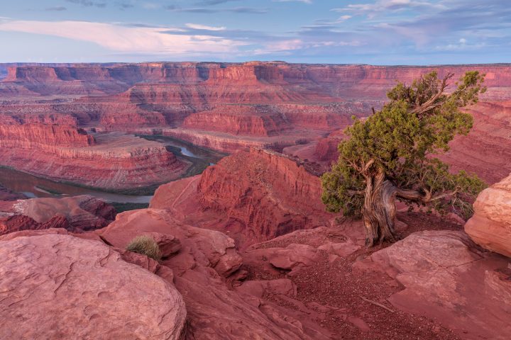 Dead Horse Point at Dawn 03