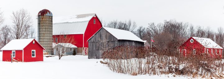 Farm with Red Buildings in Winter