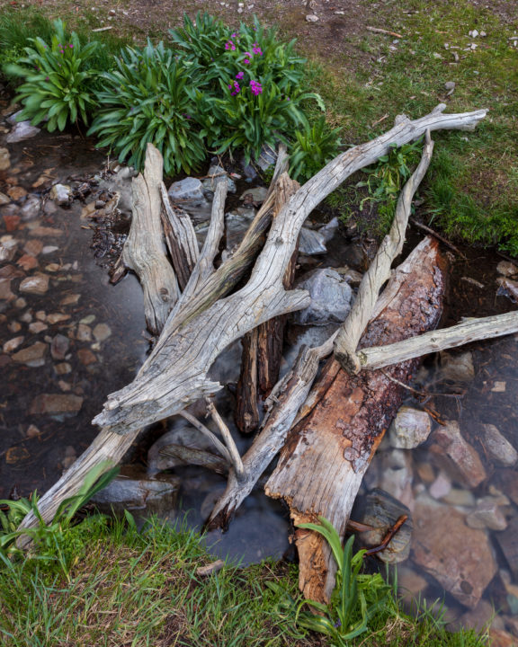 Logs in a Small Stream