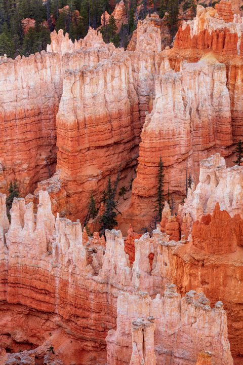 Hoodoos at Bryce Canyon