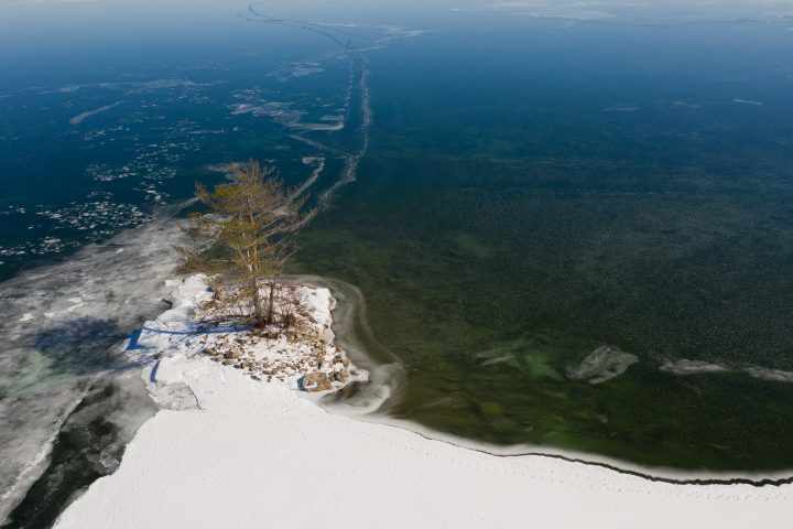 Small Island and Tree Surrounded by Ice