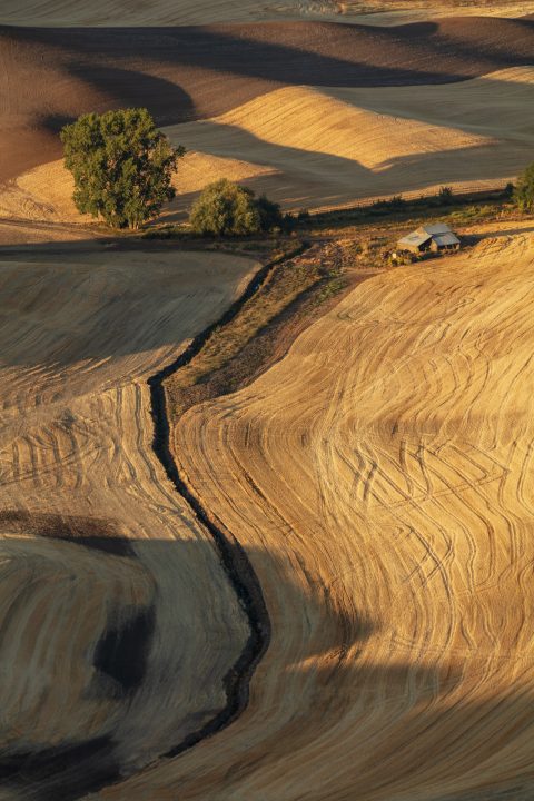 Steptoe Butte Morning 02
