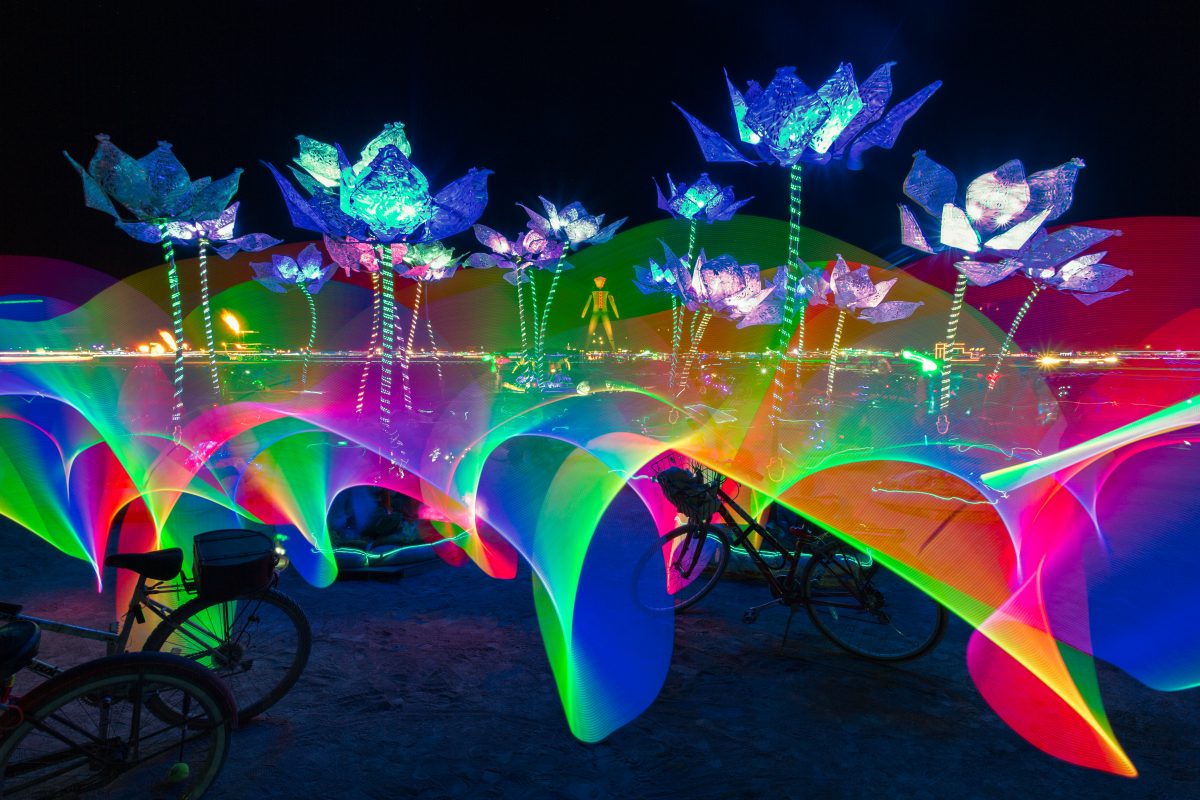 Pulse and Bloom by Shilo Shiv Suleman, Saba Ghole, Rohan Dixit | Cambridge, MA (Light Painting By Me Done In-Camera)