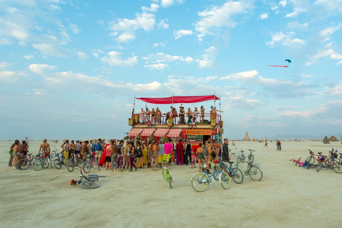 Hippocampbus 2014