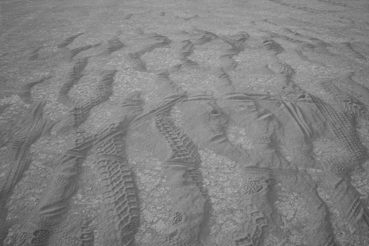 Playa Surface 2015