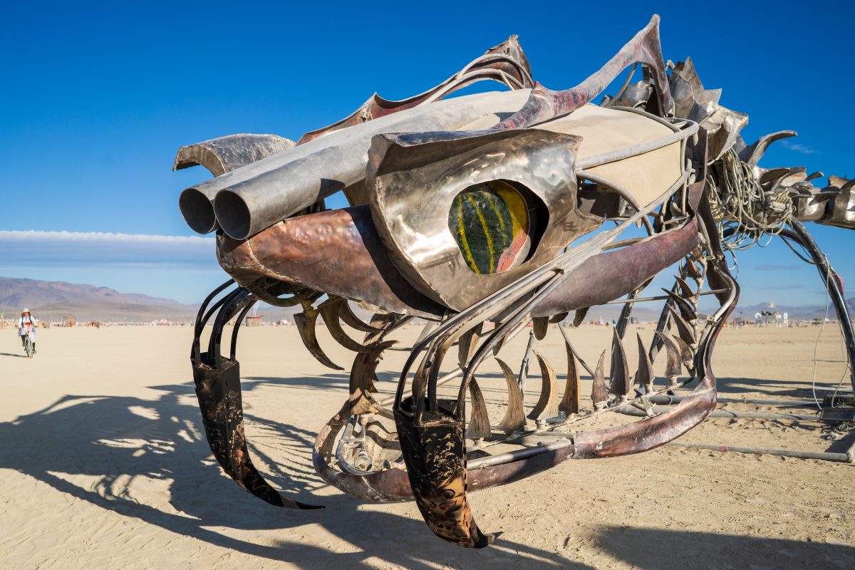 Serpent Mother from: San Francisco, CA year: 2015  The Serpent Mother is a 168′ long sculpture of a skeletal serpent, coiled around her egg. Propane fire runs down her spine, with 41 poofers erupting from the top of her gleaming vertebrae. Reaching 20' in the air, her hydraulically-actuated head ...