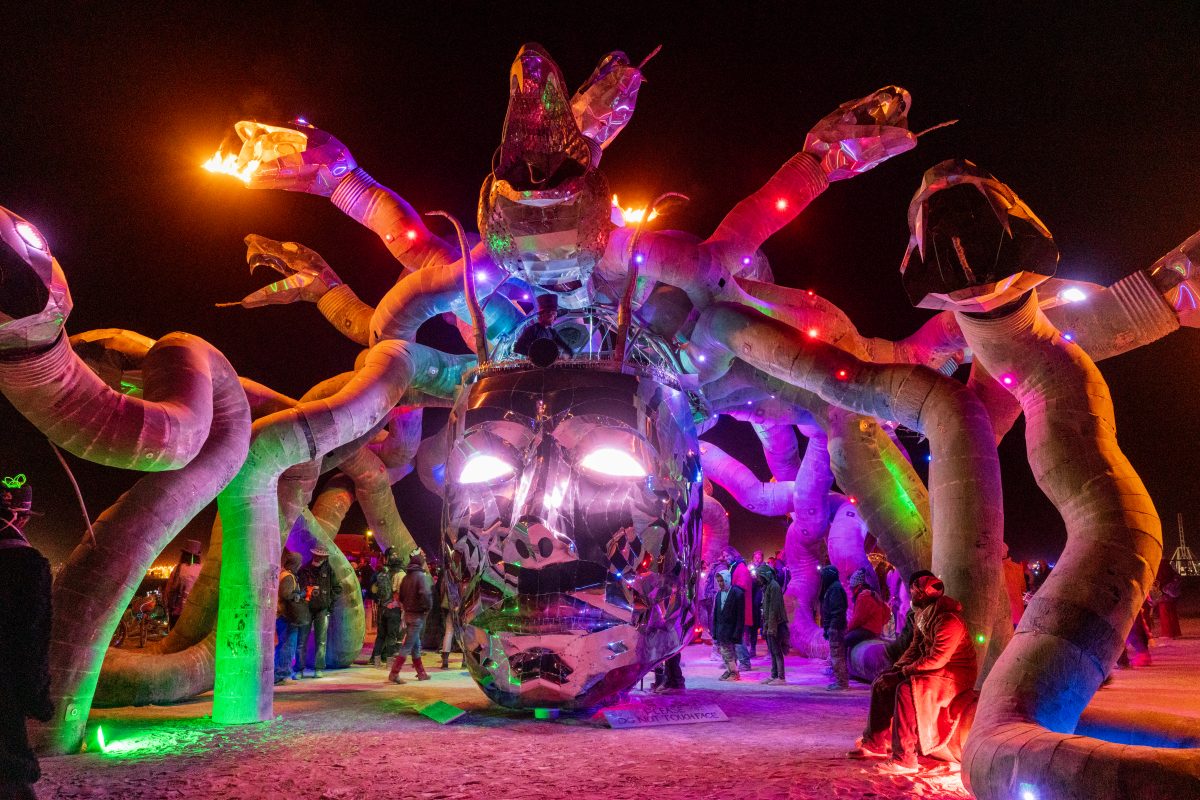 Medusa Madness from: Petaluma, CA year: 2015  Medusa Madness. Dare to stare lest you be turned to stone. Contact: medusa@rearedinsteel.com