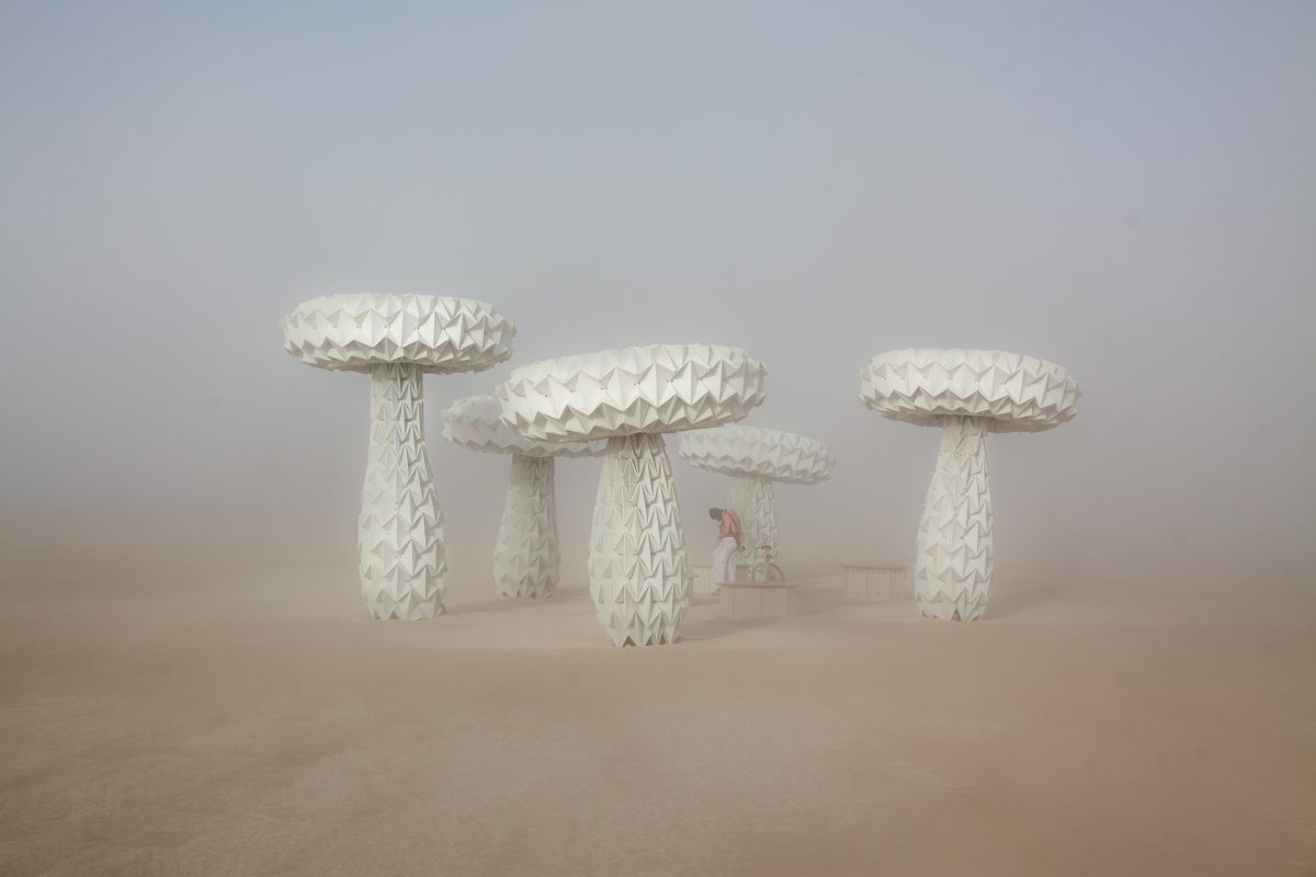 Shrumen Lumen from: San Francisco, CA year: 2016  Shrumen Lumen is a garden of oversized mushrooms, made of folded geometry that allows their bodies to undulate in various patterns. Building off a similar aesthetic and folding strategy as Blumen Lumen, a garden of flowers on the Playa in 2014, th...