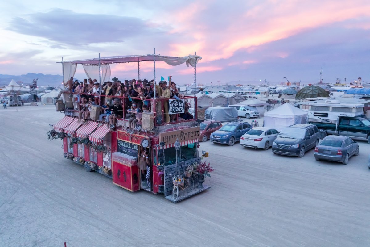 Hippocampbus 2016