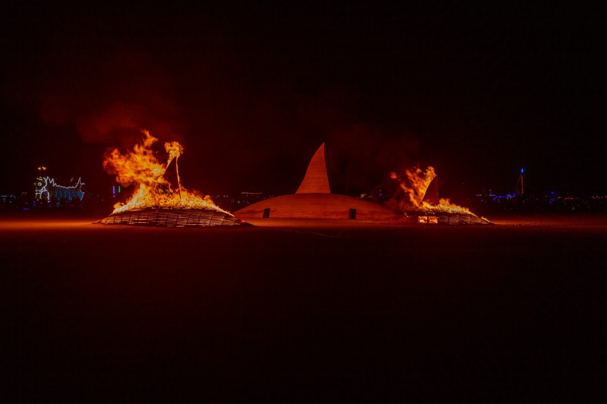 The Orca Project from: Vancouver B.C., Canada year: 2016  The Orca project is a large-scale sculptural installation of a pod of orcas travelling through the ocean. Constructed out of wood, the pod of orcas invites participants to walk amongst them, to climb on them and to listen to their sounds. ...