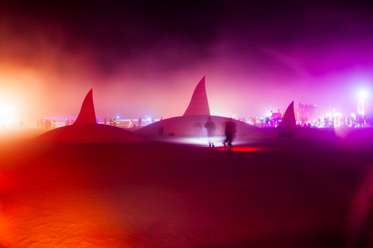 The Orca Project from: Vancouver B.C., Canada year: 2016  The Orca project is a large-scale sculptural installation of a pod of orcas travelling through the ocean. Constructed out of wood, the pod of orcas invites participants to walk amongst them, to climb on them and to listen to their sounds. ...