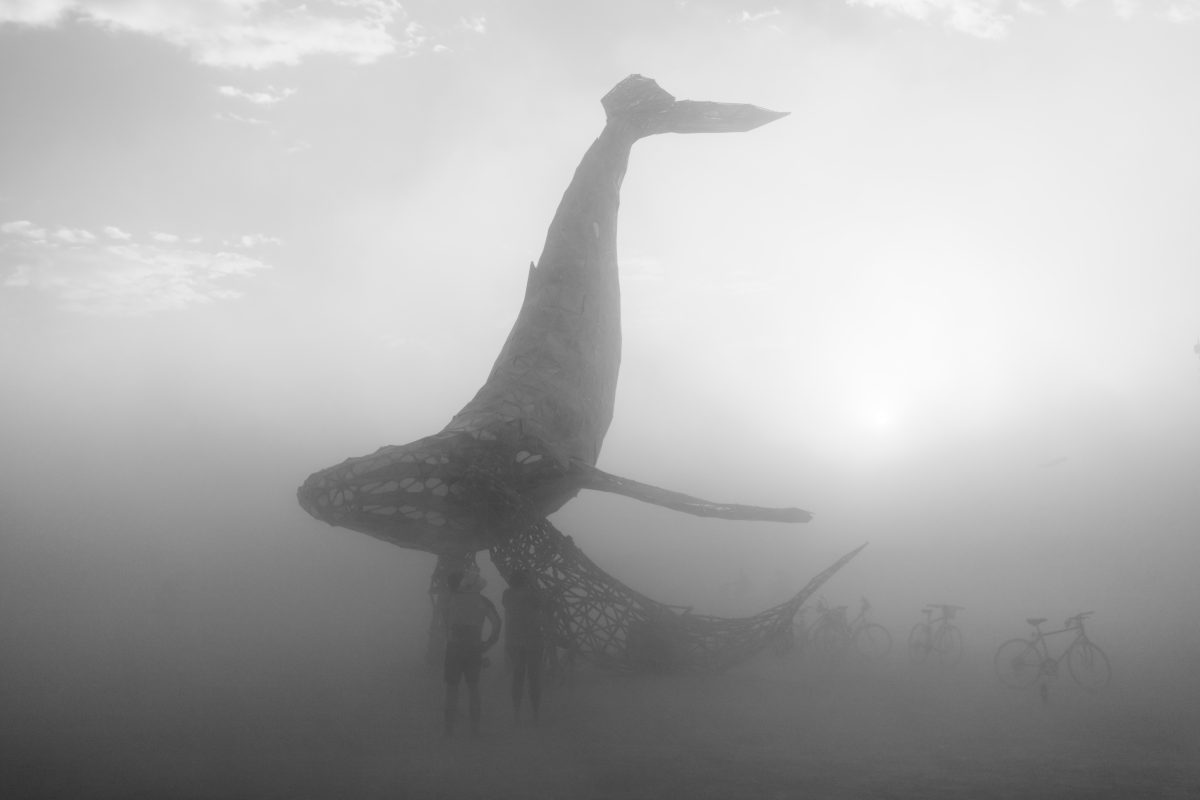 The Space Whale from: Reno, NV year: 2016  The Space Whale is a 50 foot tall full-scale crystalline humpback whale mother and calf diving through the sky built from steel and stained glass. A monumental testament to family, our relationships with nature, time and space and our responsibility to p...