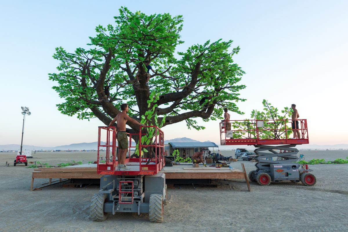 Tree of Ténéré Build by: Alexander Green, Zachary Smith, and Patrick Deegan from: San Francisco, CA year: 2017  An enormous lifelike tree, Ténéré offers shade to wanderers, adventure to climbers, and transcendent community to those gathered beneath its 15,000 LED leaves. Like its namesake - consi...
