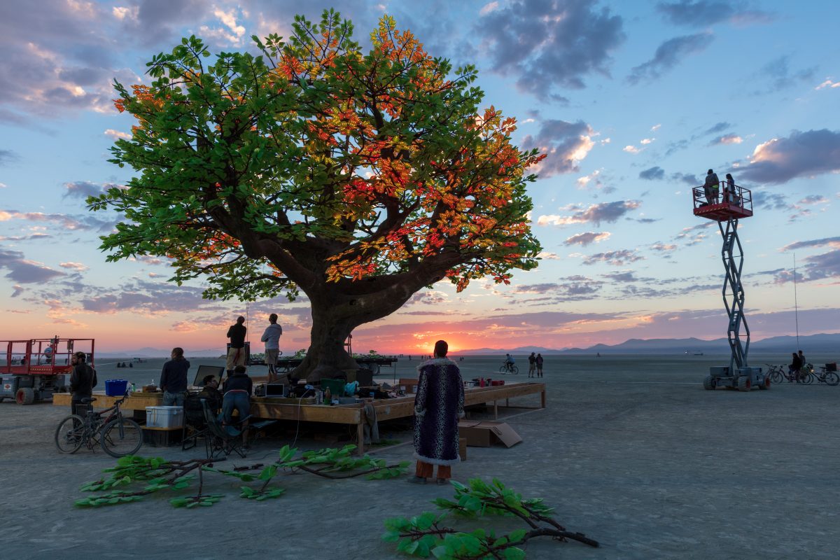 The Tree of Ténéré builders pause for a brief moment to watch the sunrise. The Tree of Ténéré by: Alexander Green, Zachary Smith, and Patrick Deegan from: San Francisco, CA year: 2017  An enormous lifelike tree, Ténéré offers shade to wanderers, adventure to climbers, and transcendent community t...