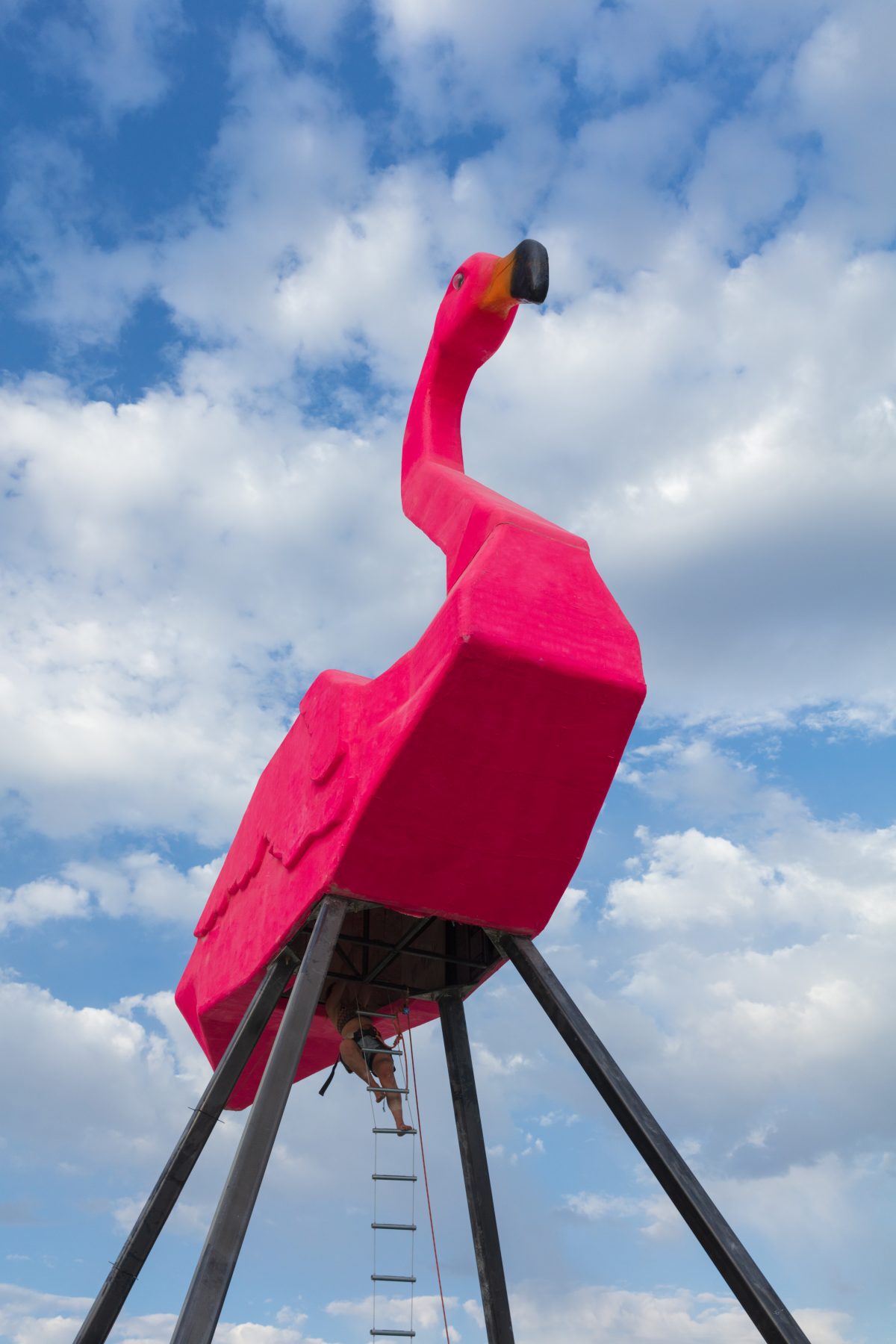 Phoenicopterus Rex: Welcome Home by: Josh Zubkoff from: San Francisco, CA year: 2017  We are bringing our dream to life and that dream is a 40 foot tall flamingo! Inspired by Don Featherstone's classic, Phoenicopterus Rex will feature climbable legs and a sitting area on the back of this massive ...