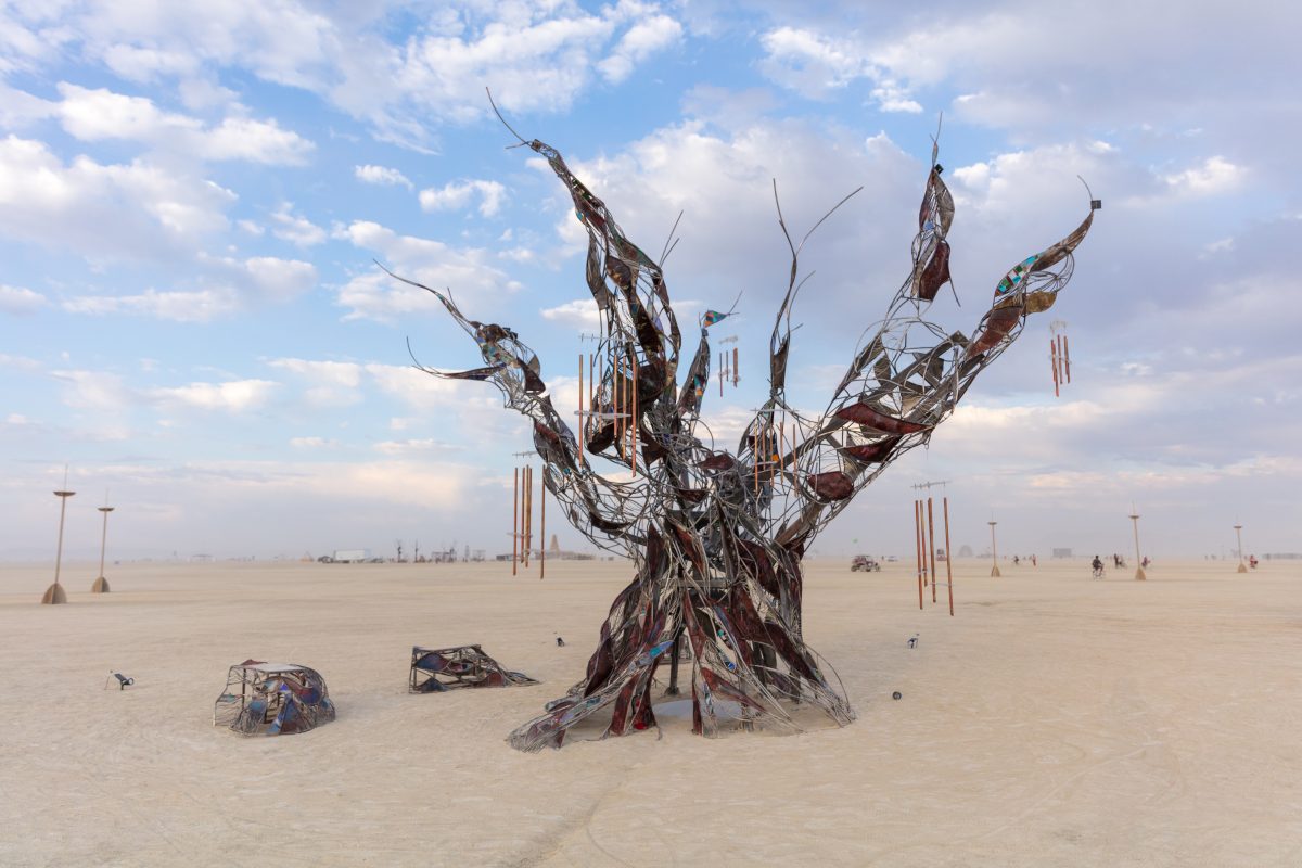 Methuselah is a 20′ metal sculpture of the world's oldest tree. The tree's bark is steel, patinated to blue, brown & white, and seams of glass reveal propane flames within the trunk, reflected in a mirror below. The tree's roots form benches on which Burners can congregate. Ancestry and evolu...