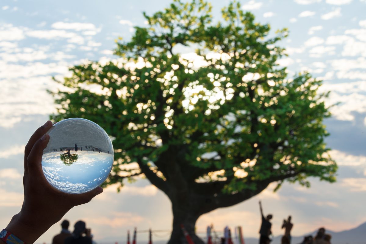Tree of Ténéré by: Alexander Green, Zachary Smith, and Patrick Deegan from: San Francisco, CA year: 2017  An enormous lifelike tree, Ténéré offers shade to wanderers, adventure to climbers, and transcendent community to those gathered beneath its 15,000 LED leaves. Like its namesake - considered ...