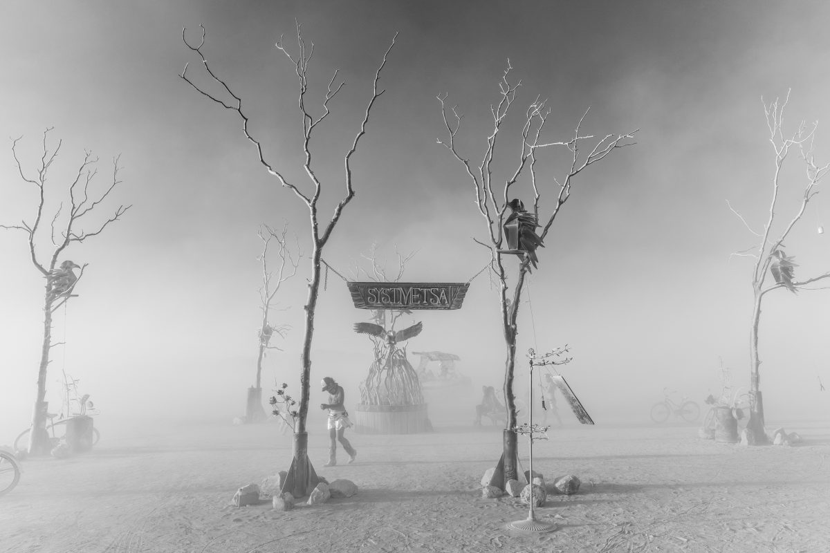 Sysimetsä by: LaynaJoy Rivas & Eva Reiska with The Landing Ravens Art Collective from: Ravens Landing, Clearlake Oaks, CA year: 2017  Beauty lies within the Burnt Forest. Sysimetsä is a memorial for the fires that destroyed Lake County, as well as a beloved art space by the name of Ravens Lan...