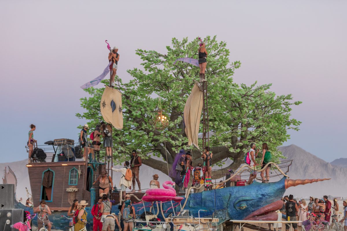 Tree of Ténéré by: Alexander Green, Zachary Smith, and Patrick Deegan from: San Francisco, CA year: 2017  An enormous lifelike tree, Ténéré offers shade to wanderers, adventure to climbers, and transcendent community to those gathered beneath its 15,000 LED leaves. Like its namesake - considered ...