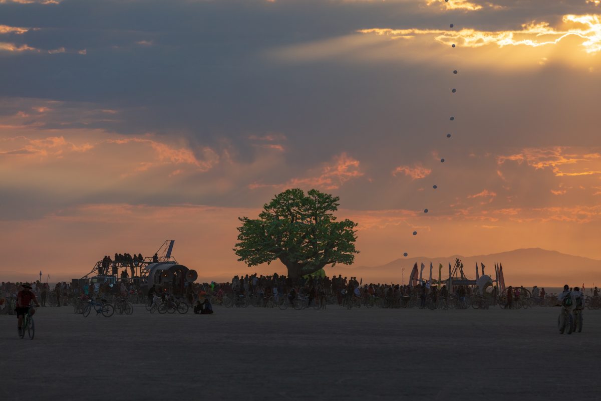 Tree of Ténéré by: Alexander Green, Zachary Smith, and Patrick Deegan from: San Francisco, CA year: 2017  An enormous lifelike tree, Ténéré offers shade to wanderers, adventure to climbers, and transcendent community to those gathered beneath its 15,000 LED leaves. Like its namesake - considered ...
