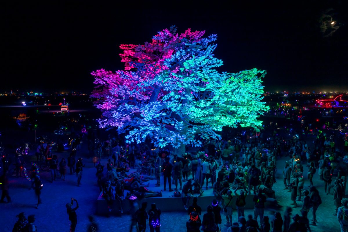 Tree of Ténéré by: Alexander Green, Zachary Smith, and Patrick Deegan from: San Francisco, CA year: 2017  An enormous lifelike tree, Ténéré offers shade to wanderers, adventure to climbers, and transcendent community to those gathered beneath its 15,000 LED leaves. Like its namesake - considered ...