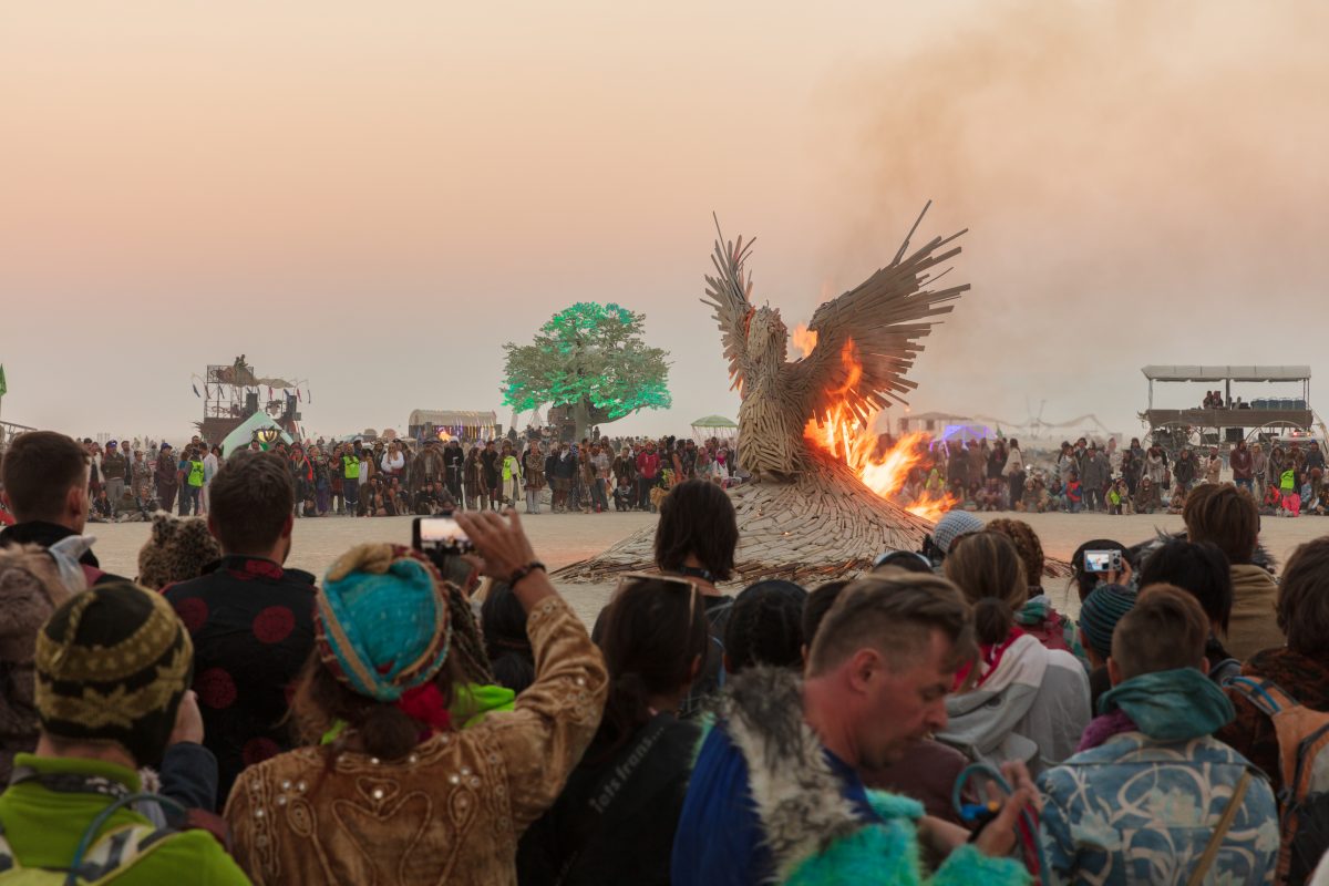 Phoenix Rising Burn by: nicholas palmer from: South Lake Tahoe, CA year: 2017  It is a large bird made up of many different sizes and types of wood. The bird has outstretched wings like it is trying to take off and rise above the playa.