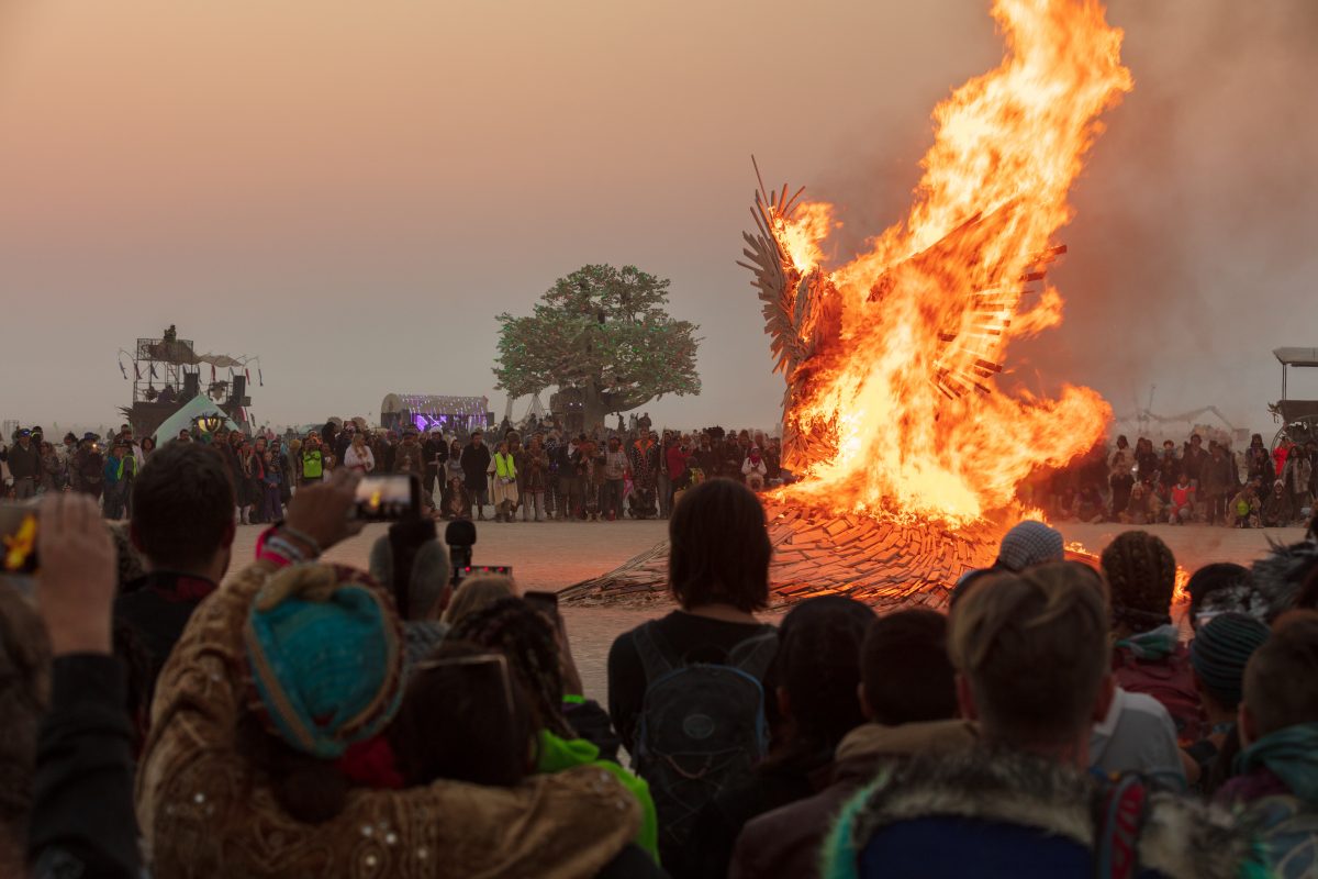 Phoenix Rising Burn by: nicholas palmer from: South Lake Tahoe, CA year: 2017  It is a large bird made up of many different sizes and types of wood. The bird has outstretched wings like it is trying to take off and rise above the playa.