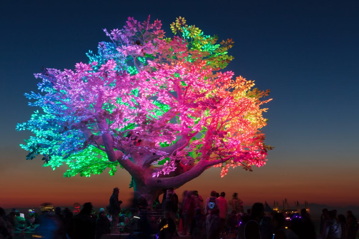 Tree of Ténéré by: Alexander Green, Zachary Smith, and Patrick Deegan from: San Francisco, CA year: 2017  An enormous lifelike tree, Ténéré offers shade to wanderers, adventure to climbers, and transcendent community to those gathered beneath its 15,000 LED leaves. Like its namesake - considered ...