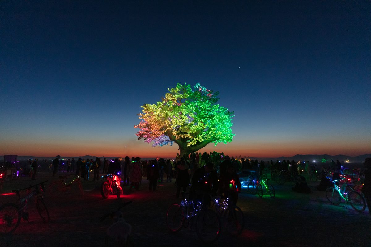 Tree of Ténéré by: Alexander Green, Zachary Smith, and Patrick Deegan from: San Francisco, CA year: 2017  An enormous lifelike tree, Ténéré offers shade to wanderers, adventure to climbers, and transcendent community to those gathered beneath its 15,000 LED leaves. Like its namesake - considered ...
