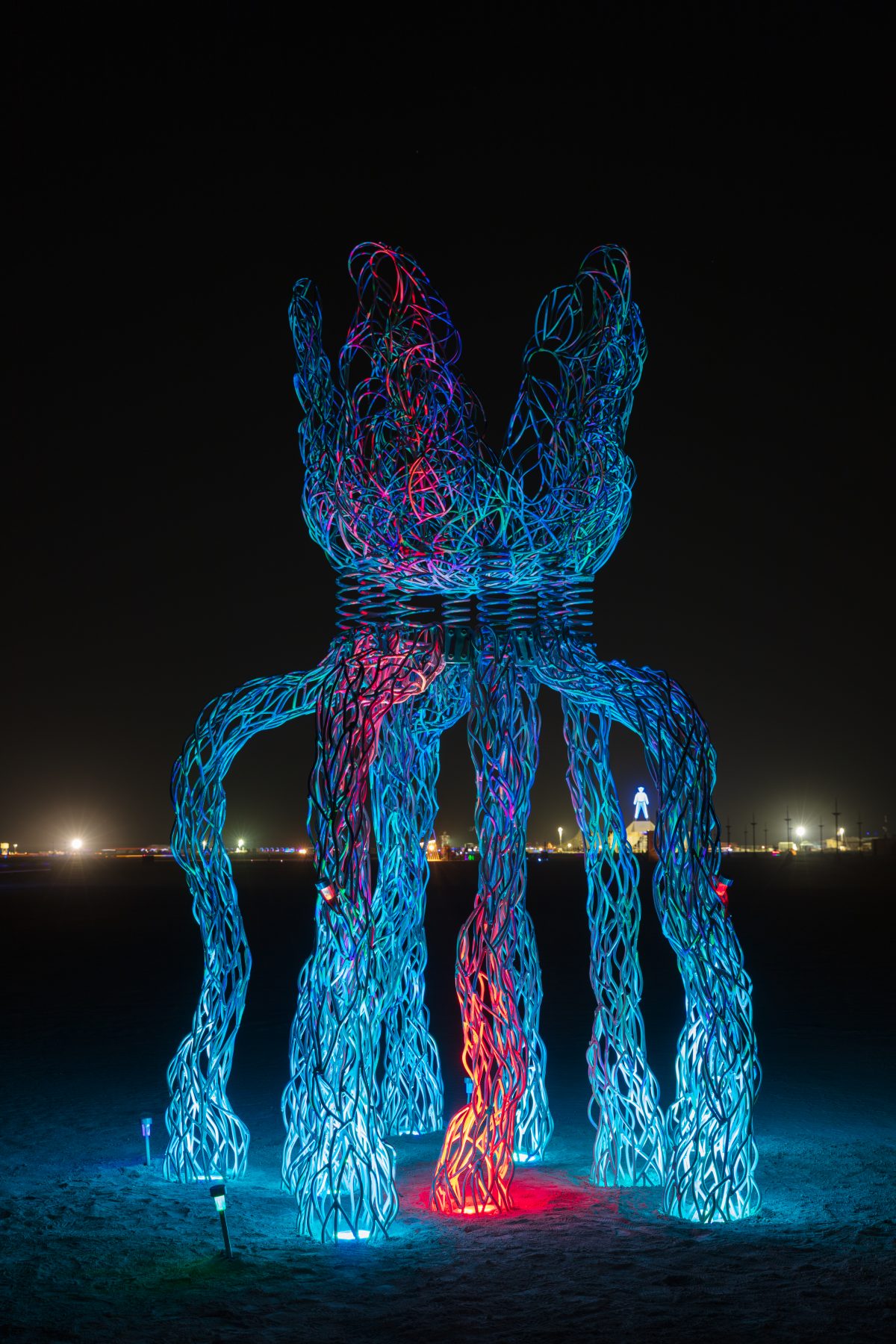FloBot by: Jessica Levine from: South Lake Tahoe, CA year: 2018