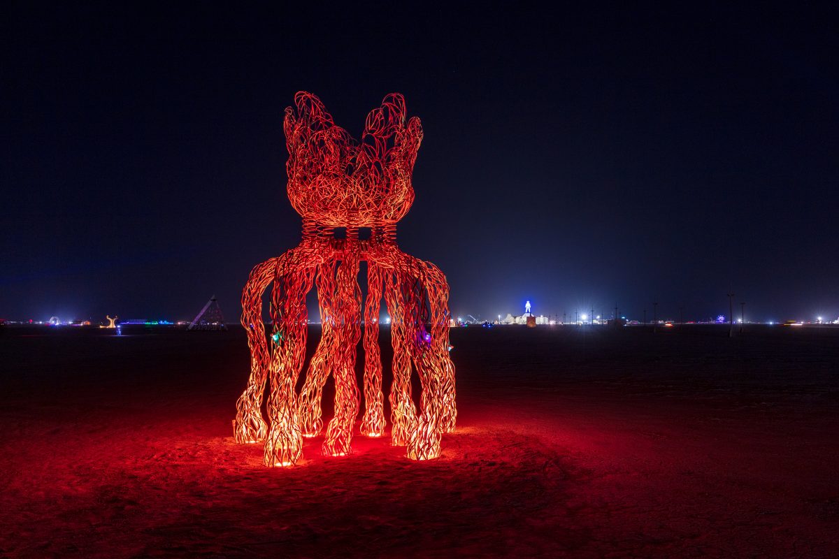 FloBot by: Jessica Levine from: South Lake Tahoe, CA year: 2018