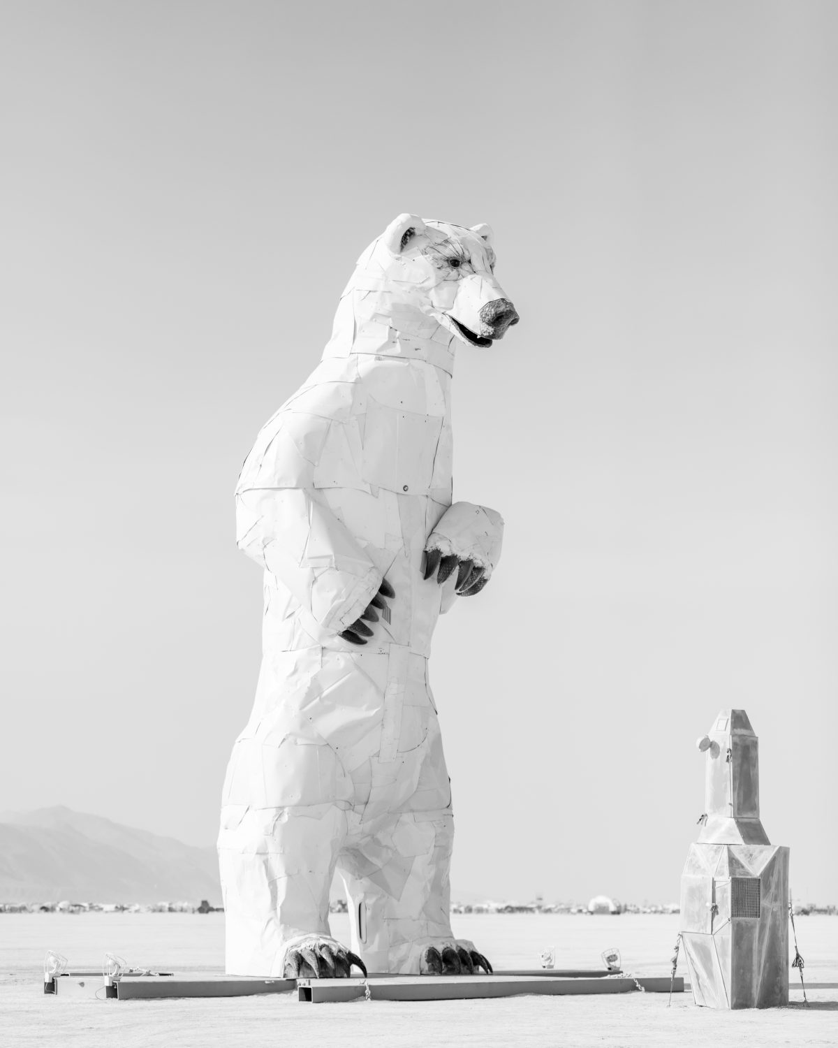 Long View, A Polar Bear Stands in the Desert by: Don Kennell and Arctic Burn 505 from: Santa Fe, NM year: 2018