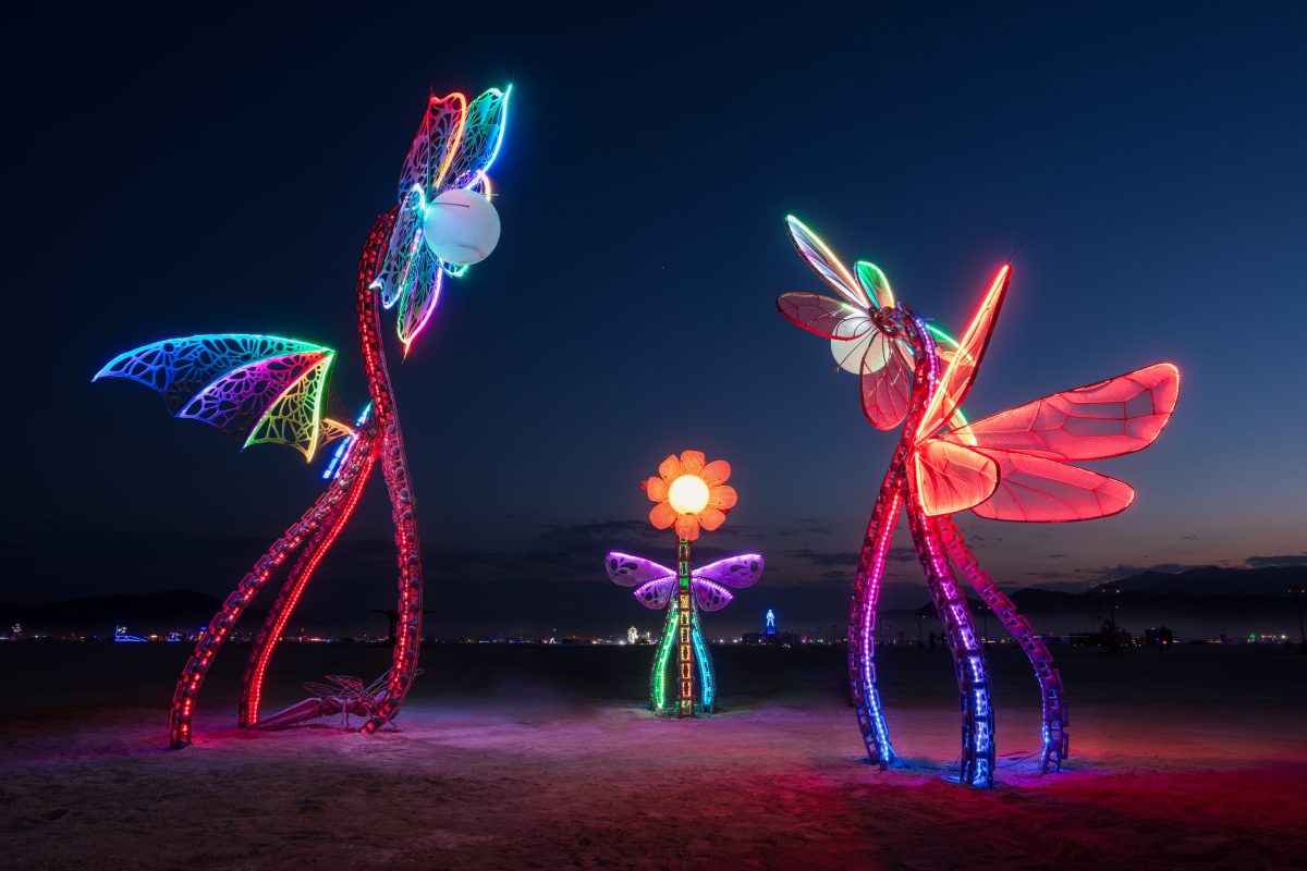 Plantoid Garden: A Blockchain-based Life-form, Featuring the Photo-synthesizer by: Primavera De Filippi & Okhaos Creations from: Paris, France year: 2018