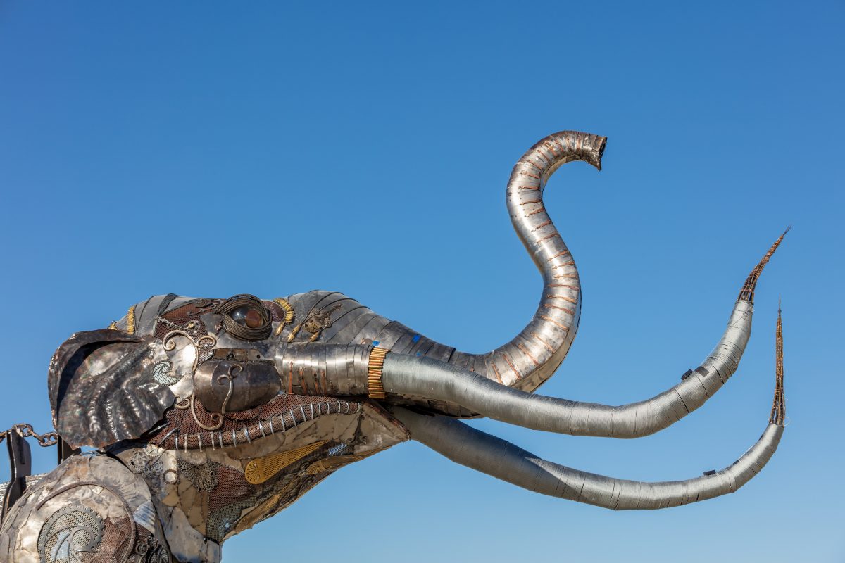 The Monumental Mammoth by: Girl Scout Gold Award Recipient Tahoe Mack, Mentor and Protector of Tule Springs Representative Sherri Grotheer, and artists Luis Varela-Rico and Dana Albany from: Las Vegas, NV year: 2019 The Monumental Mammoth project will depict a life-sized steel Colombian mammoth s...