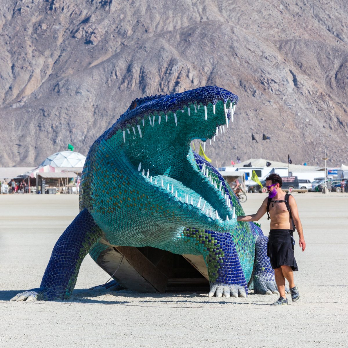 Niloticus by: Peter Hazel from: Reno, NV year: 2019  Niloticus is a 40 foot long mosaic crocodile that invites visitors to climb on top of him. His eyes, teeth, and osteoderms will light up in the night. Contact: peter@peterhazel.com